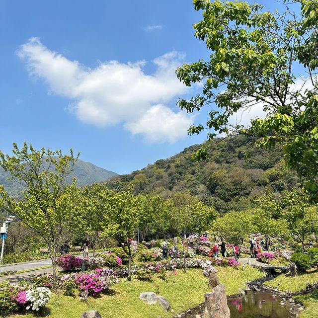 Yangmingshan National Park