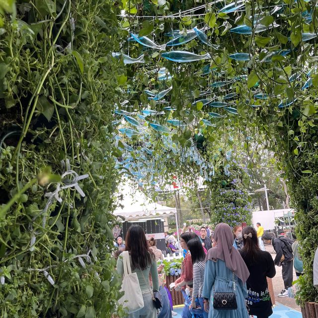 春日限定，花迷值得一去～維多利亞公園花卉展🌸