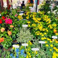 ตลาดนำ้ตลิ่งชัน & ตลาดนำ้สองคลอง