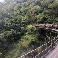【ケアンズ おすすめ】キュランダ 高原鉄道