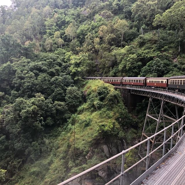 【ケアンズ おすすめ】キュランダ 高原鉄道