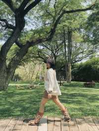 Notty Journey เจอ Mulberry Mellow • กาญจนบุรี 