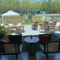 Tree O’ Clock Cafe & Bistro คาเฟ่สวยที่บางโจ