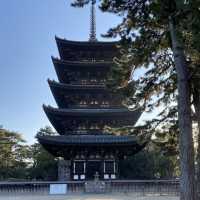 古都・奈良県「興福寺」国宝の五重塔は圧巻です
