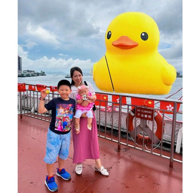 🛳洋紫荊維港遊🐥黃鴨熱潮