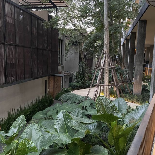เที่ยวเขาใหญ่ 2 วัน 1 คืน โรงแรม Botanica Khao Yai
