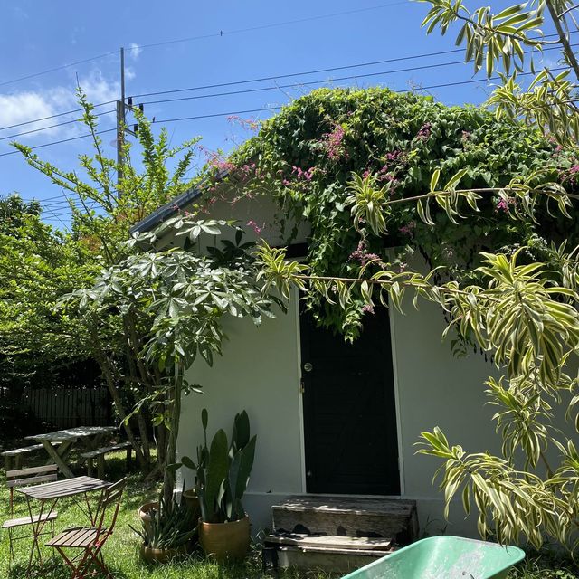 The creeper house 🪵🪹🌿