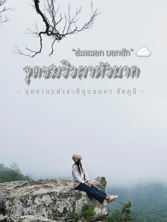 “ฮ่มหมอก บอกฮัก”อุทยานแห่งชาติภูแลนคา🌫️