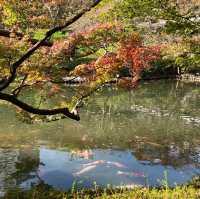 八芳園
