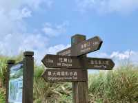 像是人間仙境的地方｜陽明山頂山石梯嶺步道，一定要去