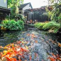 Rain Forest Cafe Pattaya 