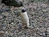 Best wildlife park in Belfast worth visiting 