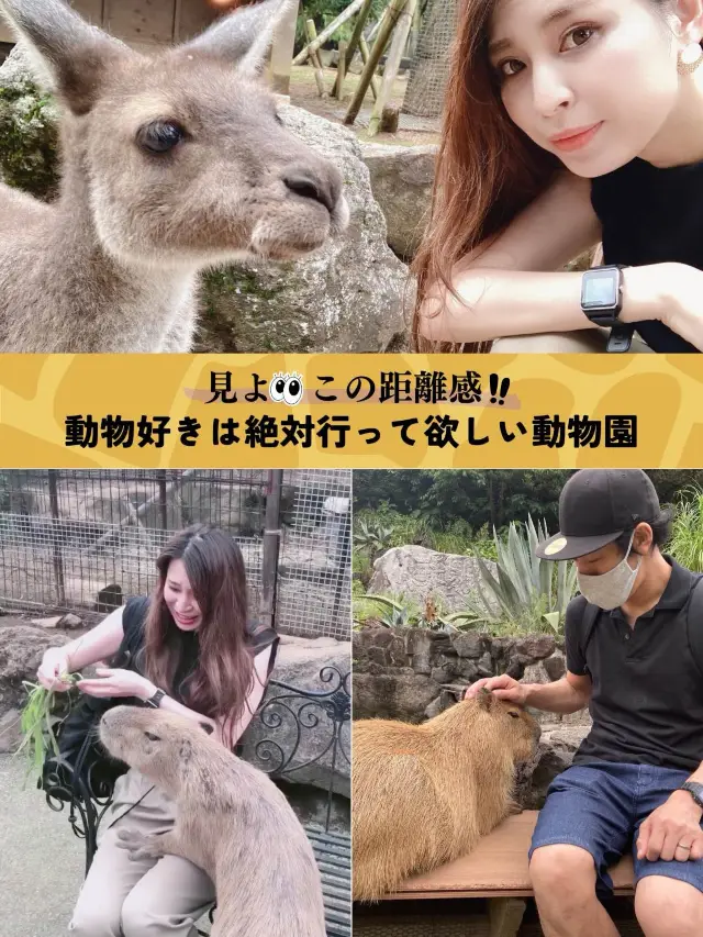 【伊豆】日帰りでも行けちゃう！動物といっぱい触れ合えちゃう動物園🐱🤍