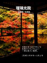 【京都】日本屈指の紅葉スポット！絶景7選