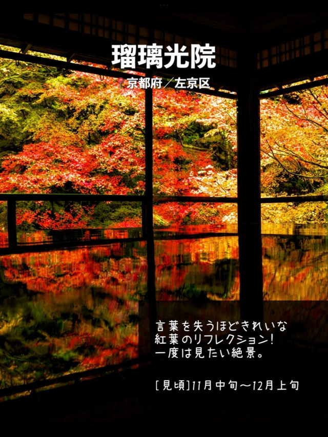 【京都】日本屈指の紅葉スポット！絶景7選