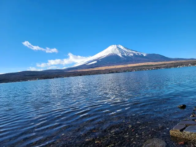冬の山中湖は富士山が綺麗です！
