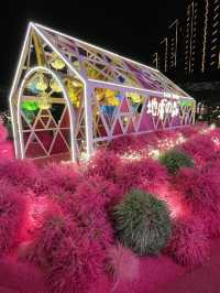 新年+情人節好去處:日本超人氣浪漫花田《地膚之森》