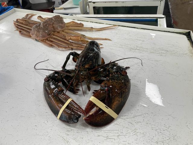 겨울엔 제철대게지🦀 영덕 해파랑공원과 동광어시장