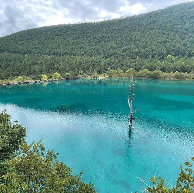 麗江藍月湖 碧綠仙景