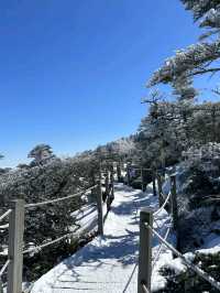 2월말, 한라산 백록담 등반기🥾🏃‍♀️