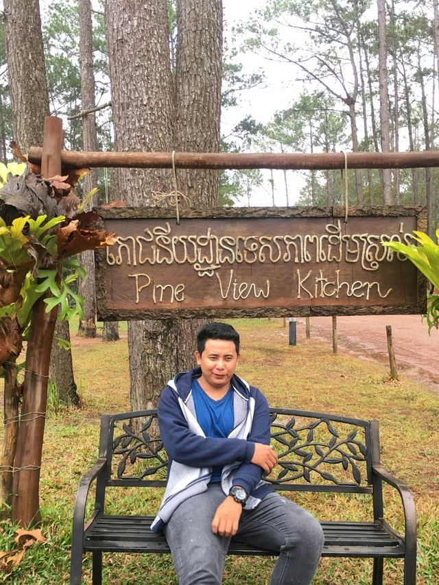 Kirirom Pine Tree