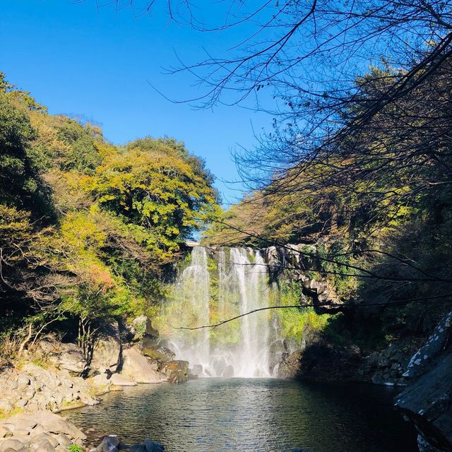 🇰🇷韓國濟州島風景💧💦 Cheonjiyeon Waterfall 천지연폭포