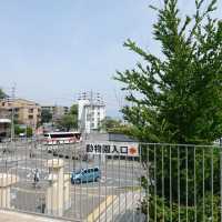 與動物園並設的「福岡市植物園」