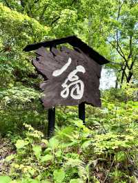 山梨県の名店「翁」で贅沢なひとときを