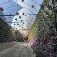 Fairytale garden in Cameron highland 