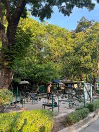 방콕에서 제일 추천하는 Lumphini park