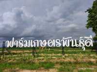 ฟาร์มเกษตรพันธุ์ดี