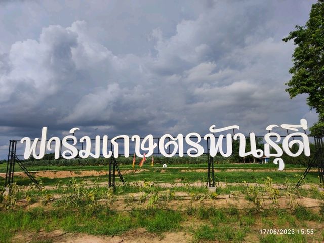 ฟาร์มเกษตรพันธุ์ดี