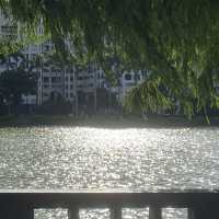 ✨大湖公園✨