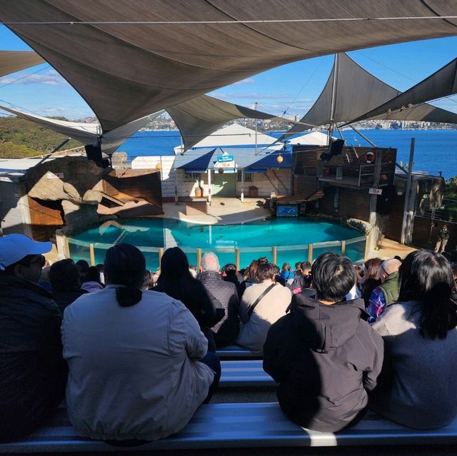 A day in taronga Zoo, starting point: back entrance.