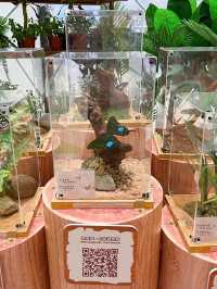 商場有個熱帶樹林！親子好去處！