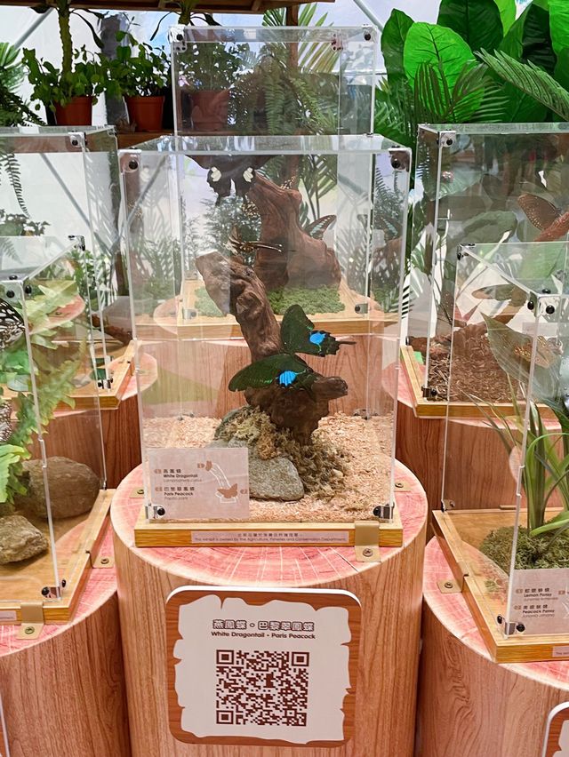 商場有個熱帶樹林！親子好去處！