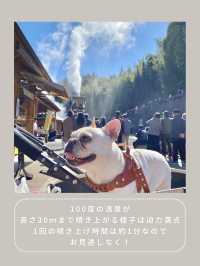【静岡】わんこと行ける温泉公園♨️