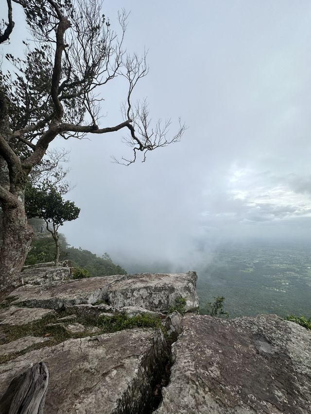 “ฮ่มหมอก บอกฮัก”อุทยานแห่งชาติภูแลนคา🌫️