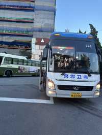 大邱の西大邱高速バス乗り場はこんな感じ。