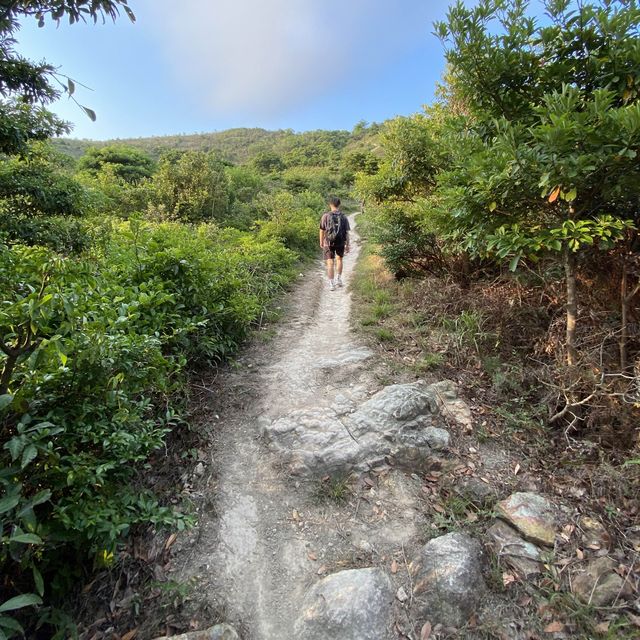 香港🇭🇰 ｜香港第二高山峰 （行山篇）🥾 - 鳳凰山