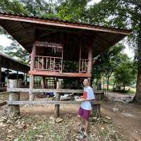 Elephants Farm in Koh Chang, Thailand 