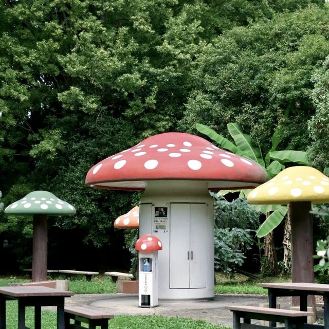 自然探險的綠洲：京都府立植物園 🌿🌺🔍