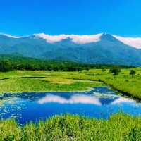 🏞️ 아름다운 자연과 식생이 보존되어 있는 일본 북쪽의 끝 시레토코 국립공원 