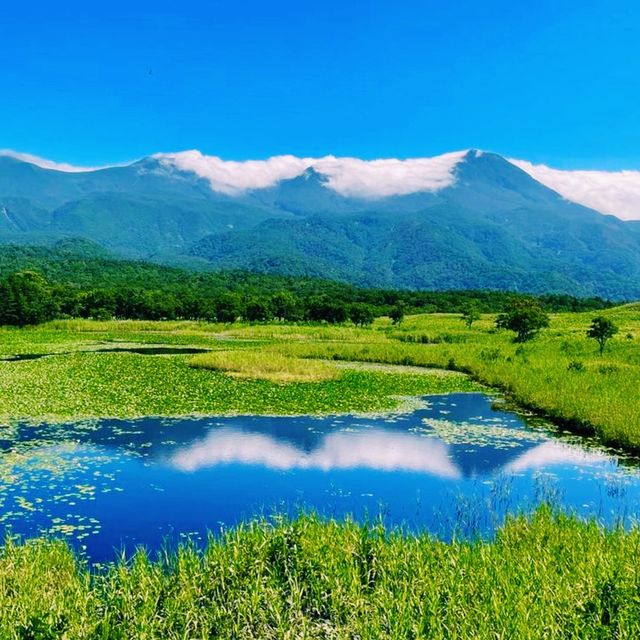 🏞️ 아름다운 자연과 식생이 보존되어 있는 일본 북쪽의 끝 시레토코 국립공원 
