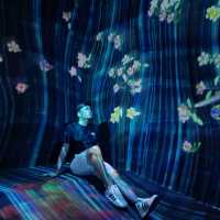 香港TeamLab 限時打卡
