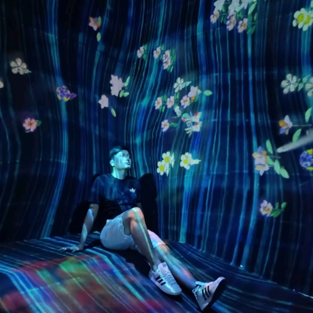 香港TeamLab 限時打卡