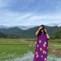 Greenery Landscape of Lenggong