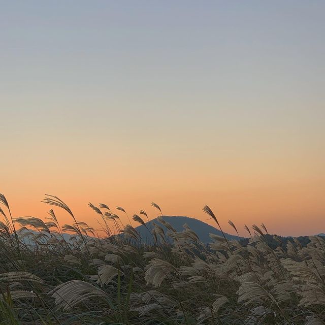 제주 오름추천 “용눈이오름”🌾