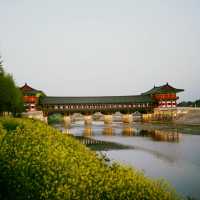 Woljeong Bridge is awesome at night 