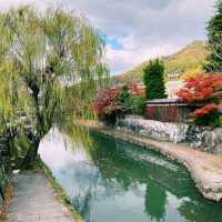 秋遊日本滋賀必去！八幡堀：浪漫水鄉漫步，感受江戶時代風情 